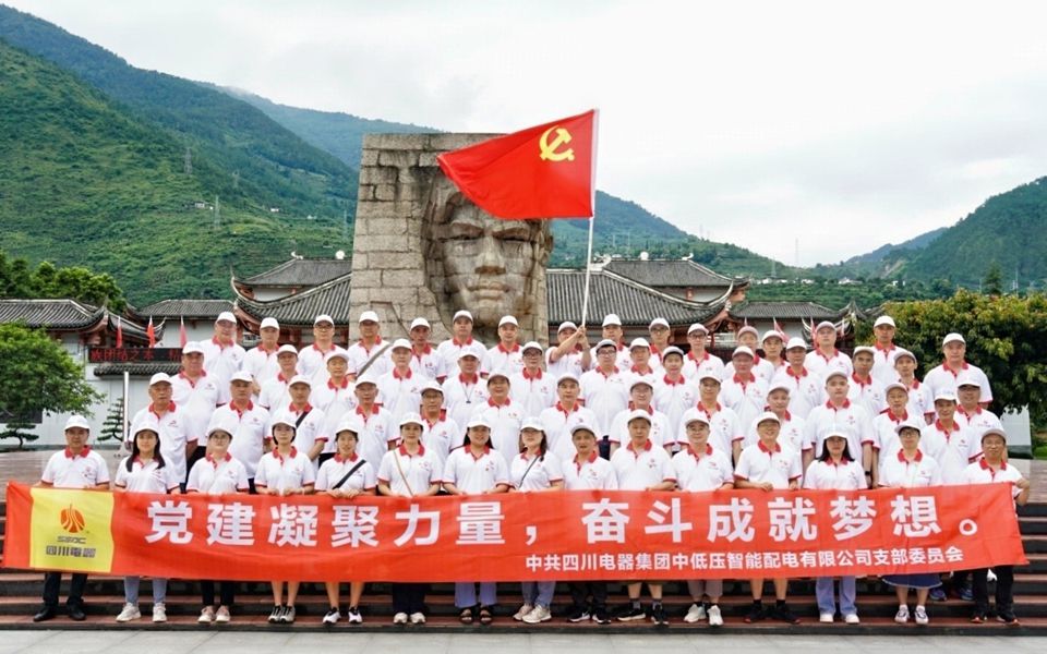 四川电器开展“党建凝聚力量，奋斗成就梦想”主题党日活动